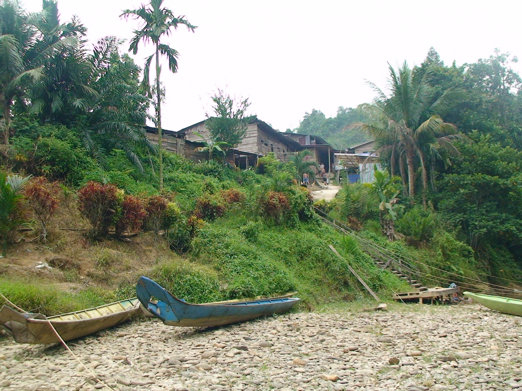 Borneo1 (49).JPG